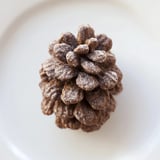 Close-up of festive pinecone nut butter snacks showing crunchy cereal and creamy center.