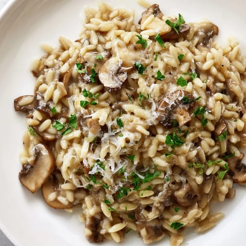 Orzo Mushroom Risotto Style